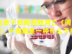间充质干细胞相触凋亡（间充质 🕸 干细胞是一种什么干细胞）